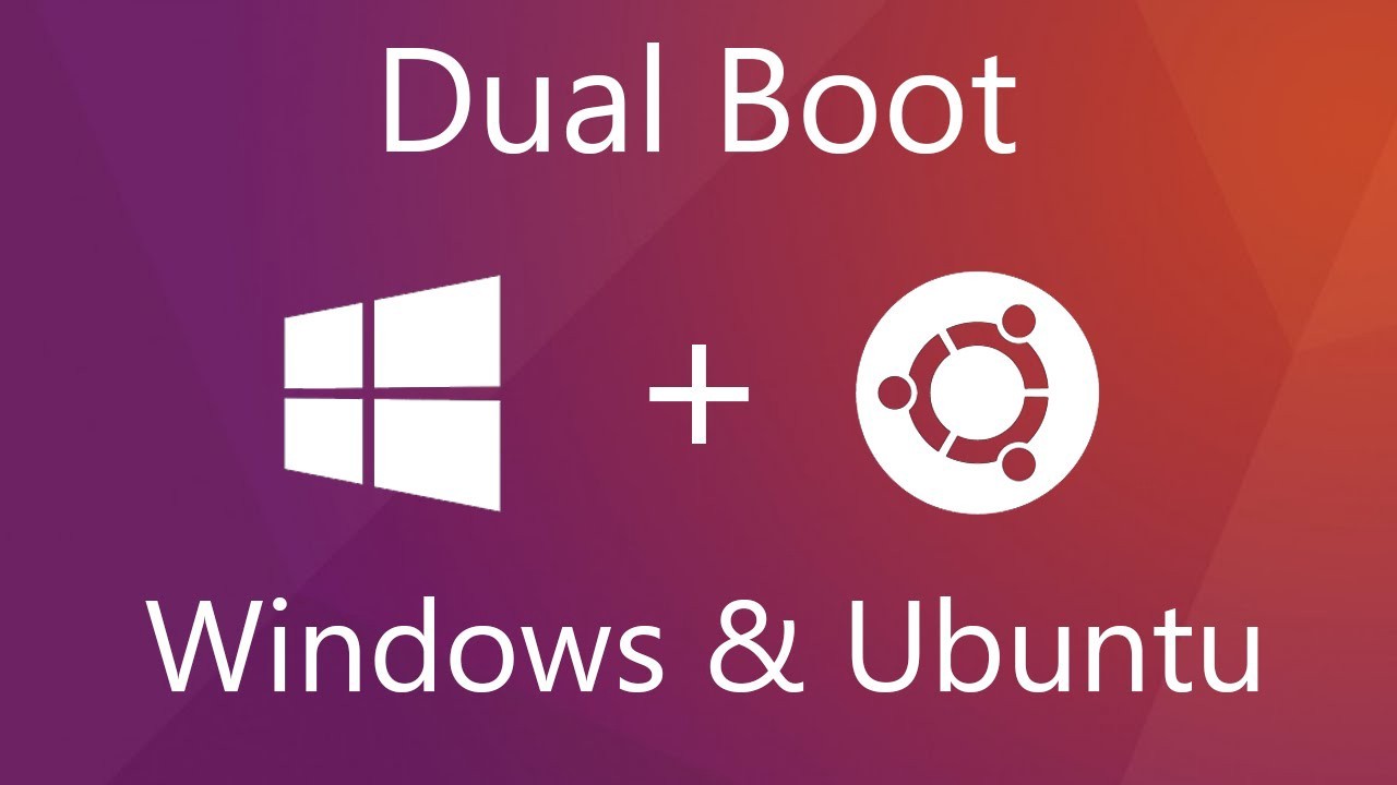 Format Windows Dual boot
